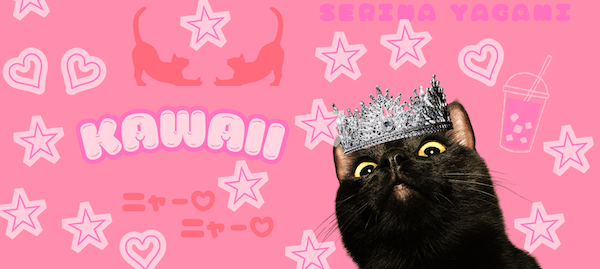 セリナヤガミ紹介